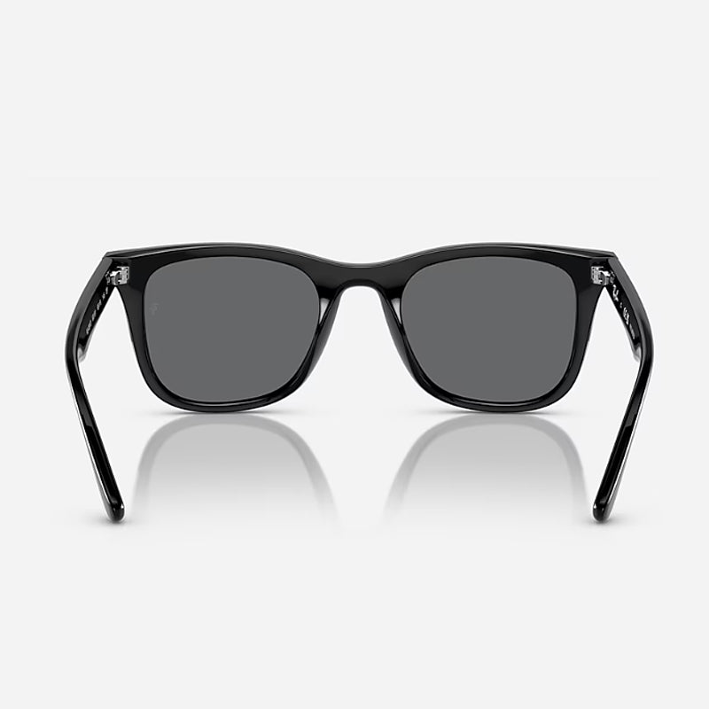 Gafas de Sol Wayfarer Para Hombre