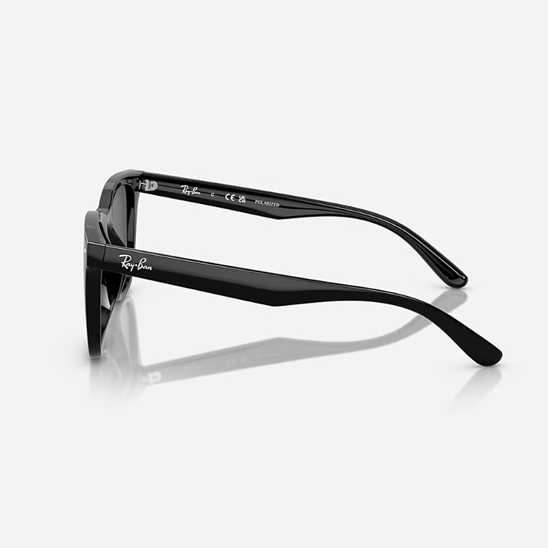 Gafas de Sol Wayfarer Para Hombre