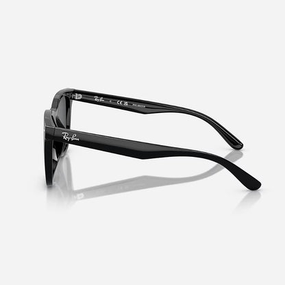 Gafas de Sol Wayfarer Para Hombre